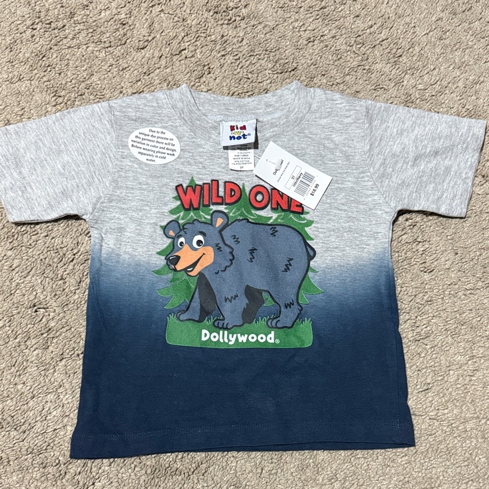 Dollywood 3T Kids T-Shirt - Gray and Blue